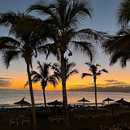 Casa Ocean Bliss; 2-bed Apt. In Perfect Location! アパート プエルト・デル・カルメン